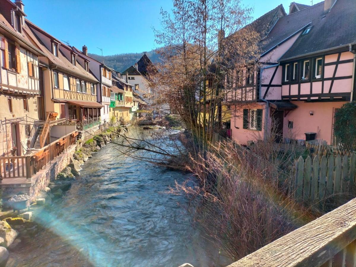 Coeur D'Elsass "Rapp"Appartement Avec Parking Colmar Exteriör bild