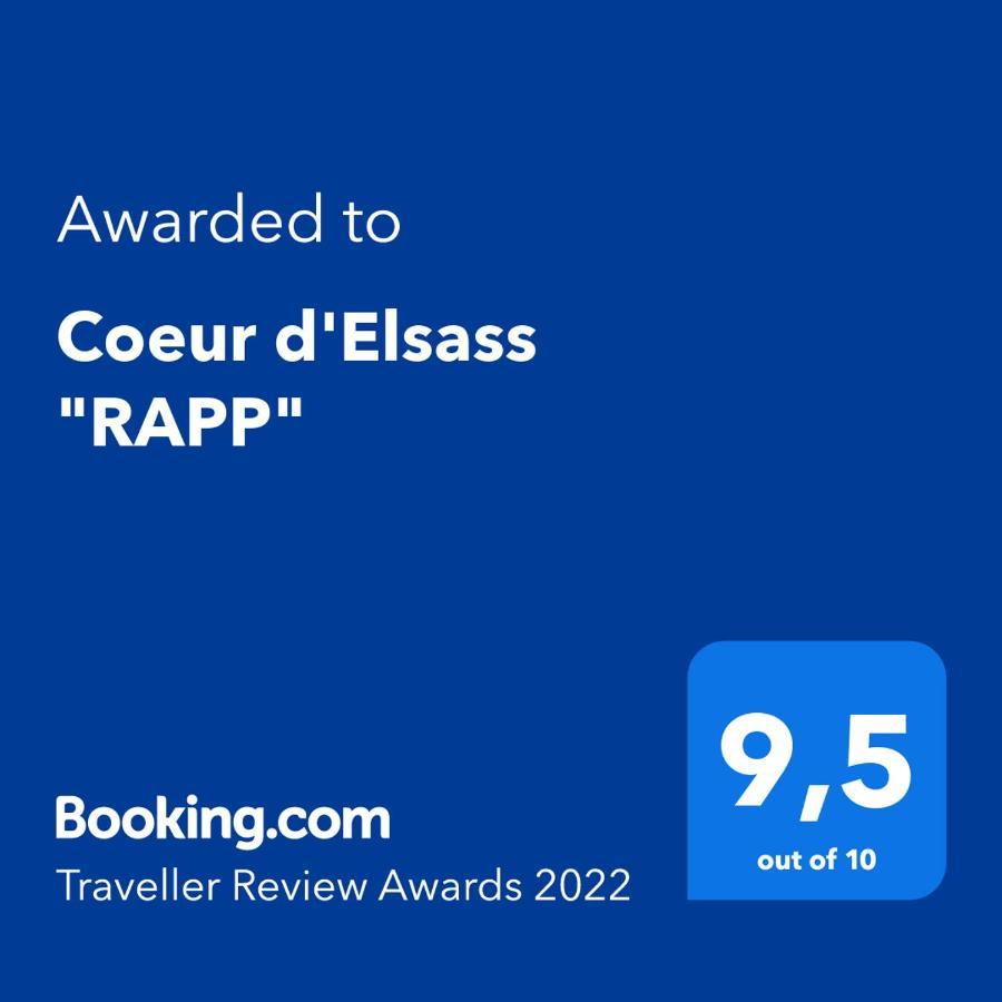 Coeur D'Elsass "Rapp"Appartement Avec Parking Colmar Exteriör bild