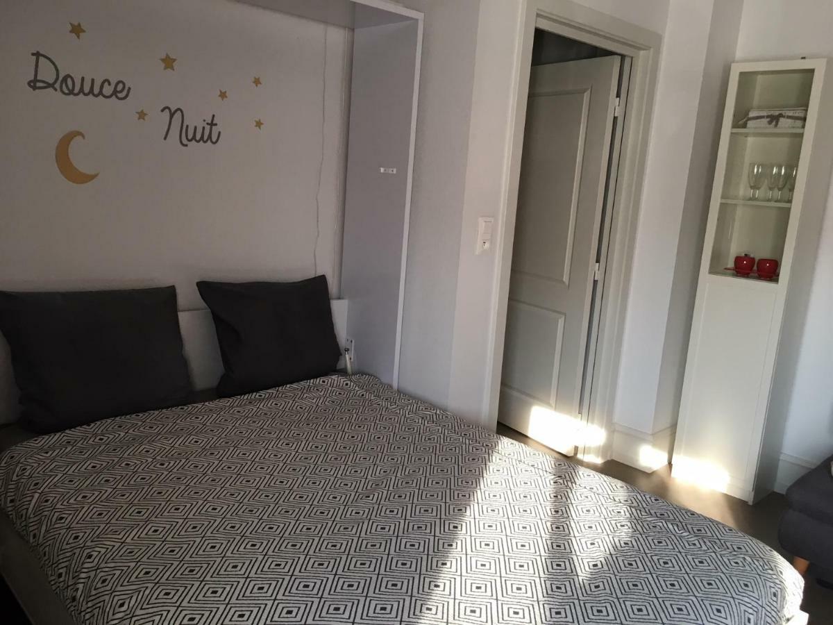 Coeur D'Elsass "Rapp"Appartement Avec Parking Colmar Exteriör bild